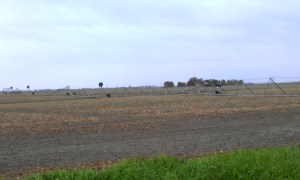 One of an estimated over 100 pivots damaged in Clay County during the Memorial Day storm.