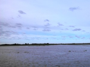 Creeks overflowed banks and localized flooding can be seen throughout the County with standing water in fields.