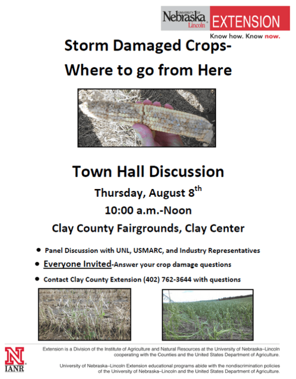 Town Hall Discussion