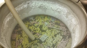 Semen storage at Hawkeye Breeders.