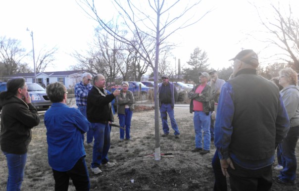 Scott Dewald explaining what to look for when considering pruning a tree.