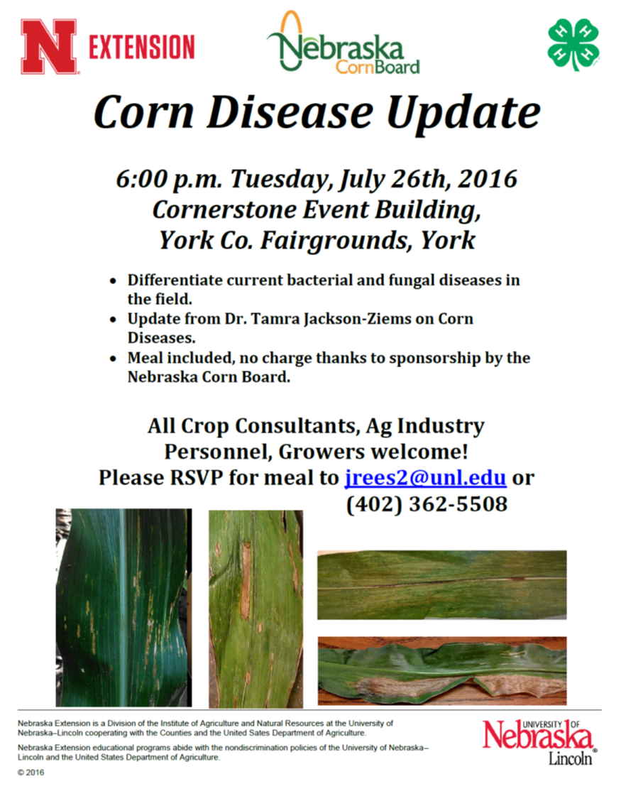 corn disease meeting