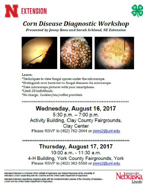 corndiseasediagnosticworkshop