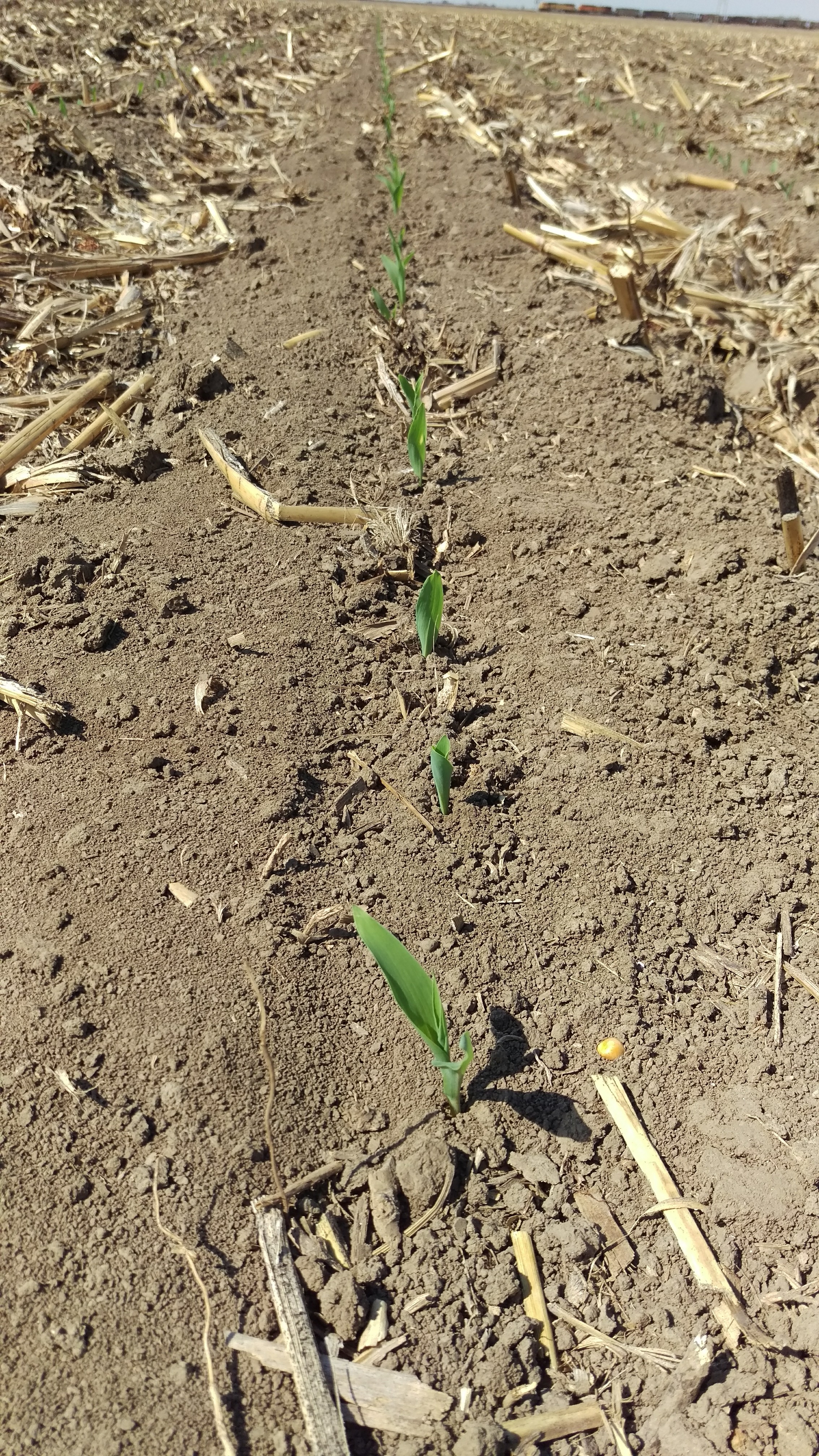 IMAG4753-20180511-094716487