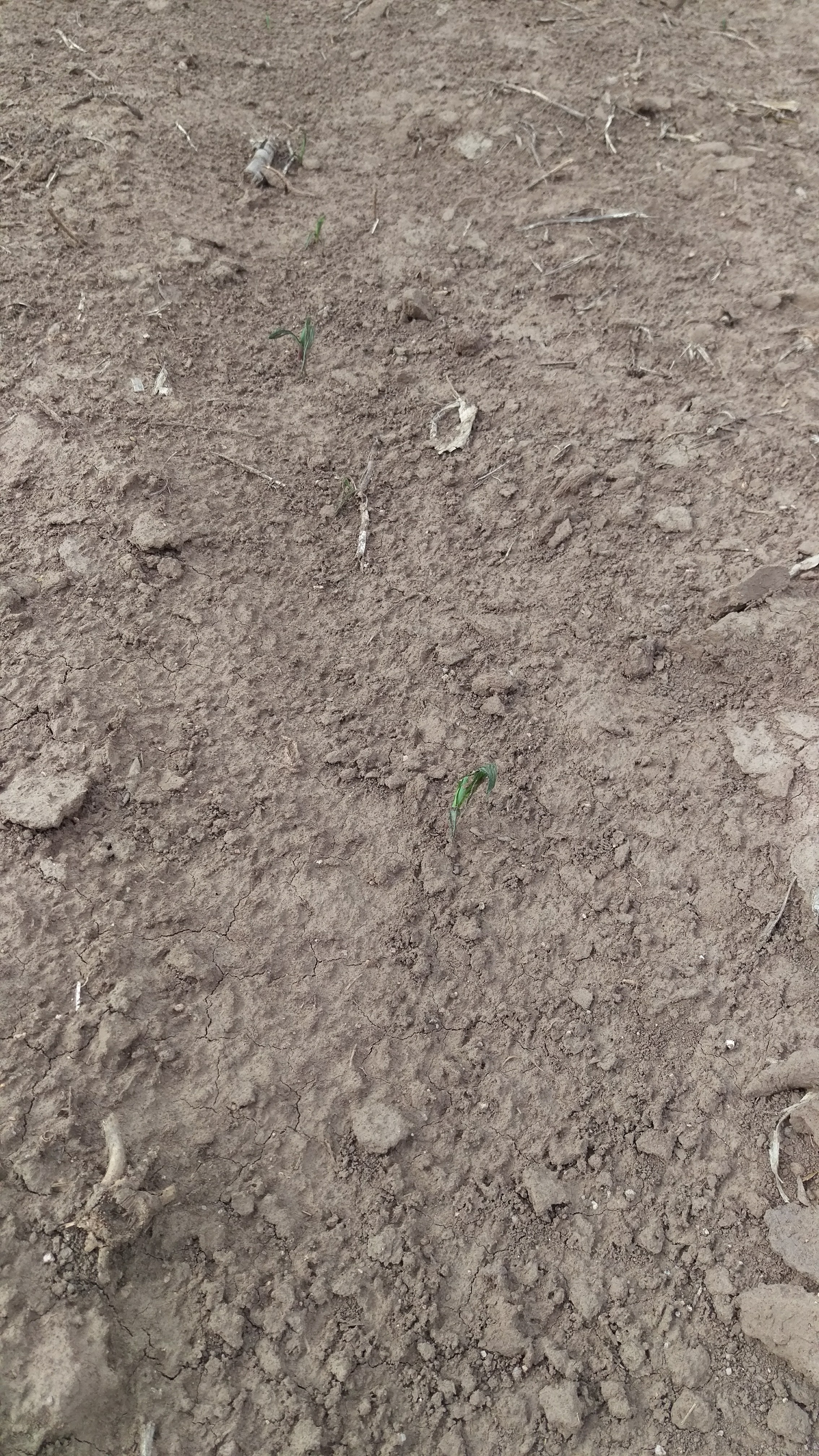 IMAG4762-20180511-174631604