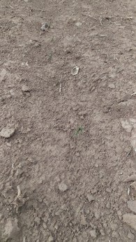 IMAG4762-20180511-174631604