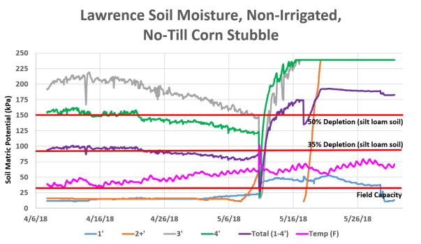 Lawrence 5-31-18 corn