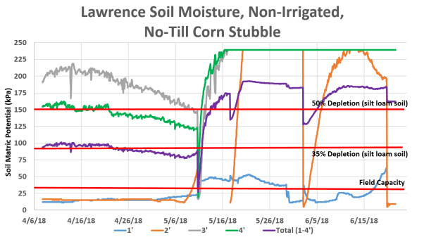 Lawrence 6-21-18 Corn