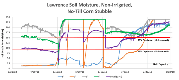 Lawrence 8-17-18 Corn