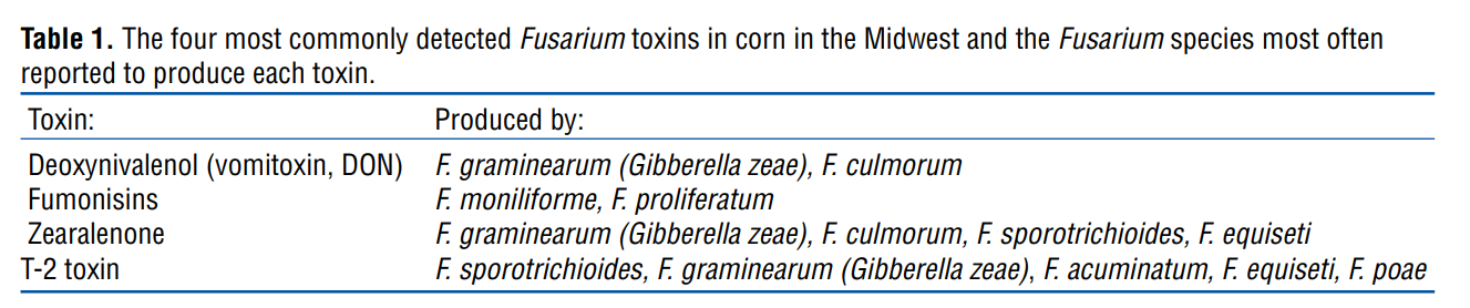 Fusarium sp. mycotoxins.PNG