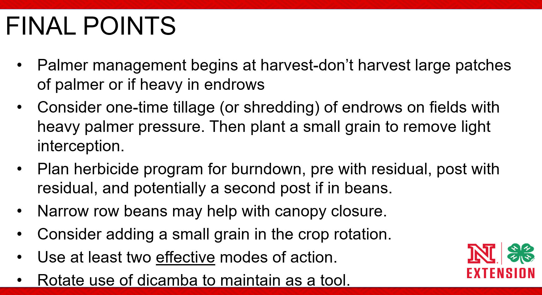 palmer take home.PNG