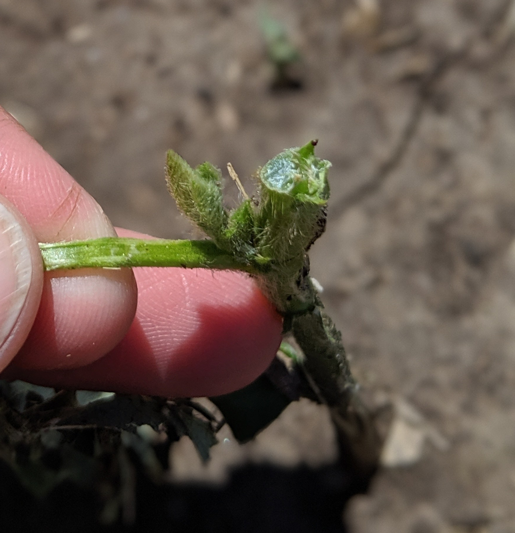 00100lPORTRAIT_00100_BURST20190626143859689_COVER