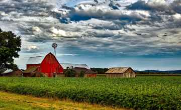 houses in farm against cloudy sky