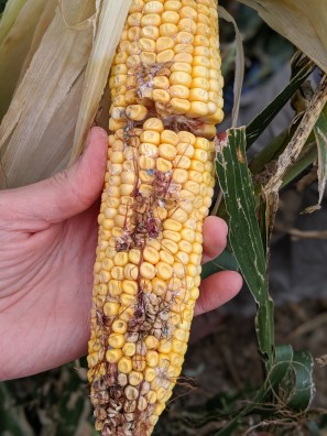 00100lPORTRAIT_00100_BURST20190823133135740_COVER