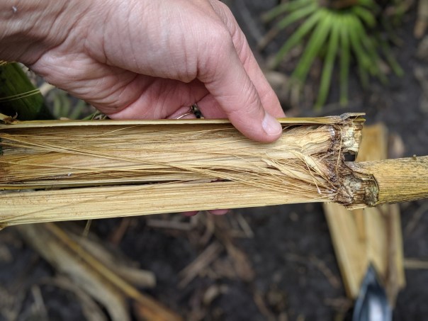 00100lPORTRAIT_00100_BURST20190823154645081_COVER