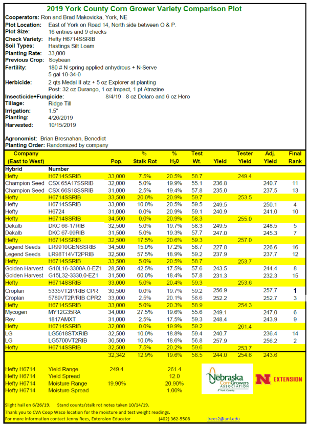 2019YorkCornGrowerPlot.PNG