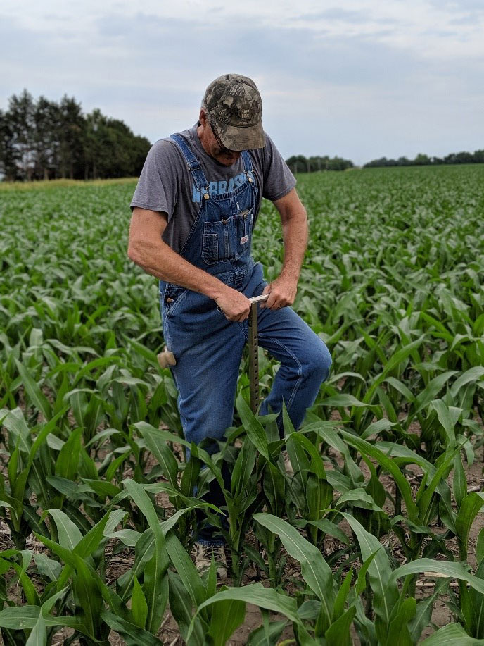 Ron soil sampling.jpg